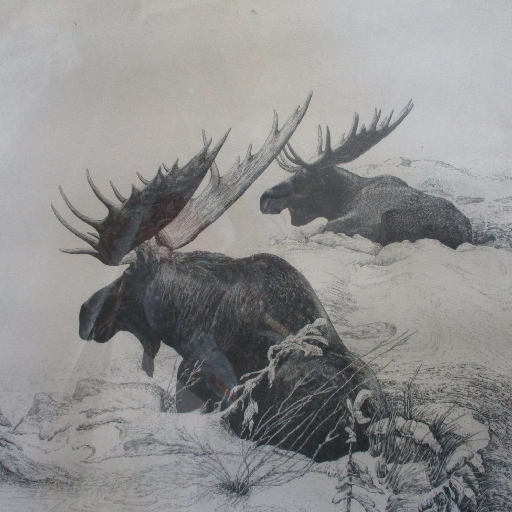 SIGNED MEL DOBSON NORTHWOODS GIANTS MOOSE Art